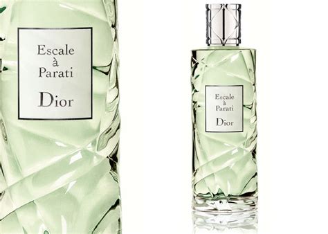 escale a parati dior